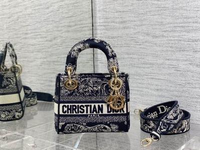 DIOR Handbags 1015